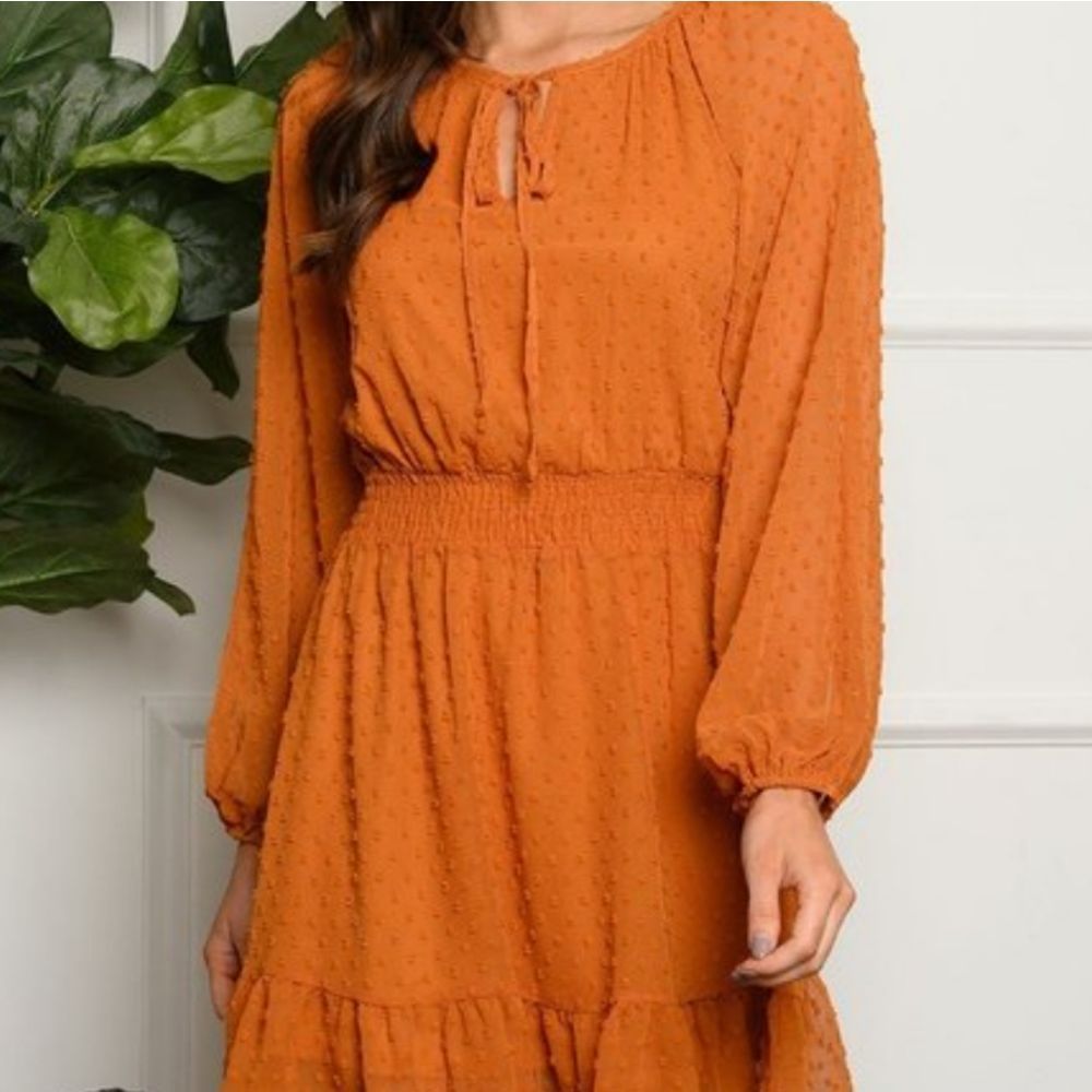 Rust Swiss Dot Key Hole Long Sleeve Dress